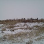 Remnants of the big blizzard, the second one is in the fence line 